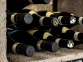 1DX 1954 borgo cantina 2